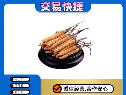 楚雄州永仁礼品回收散虫草.jpg